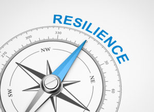 Resilience Compass